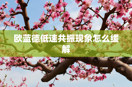欧蓝德低速共振现象怎么缓解