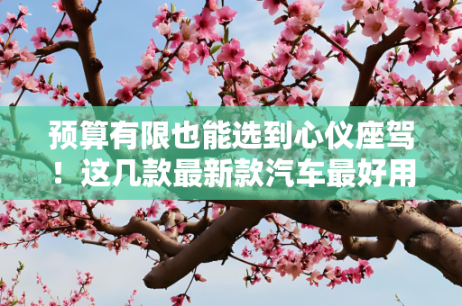 预算有限也能选到心仪座驾！这几款最新款汽车最好用耐用又便宜又好看