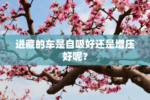 进藏的车是自吸好还是增压好呢？