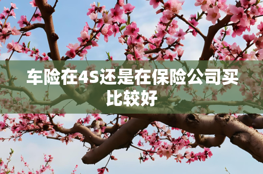 车险在4S还是在保险公司买比较好