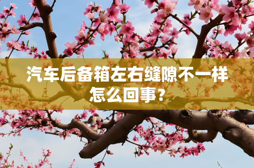 国际 第50页