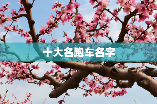 十大名跑车名字