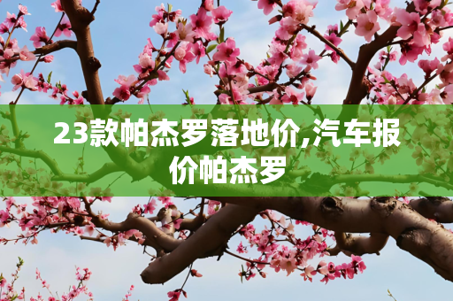 23款帕杰罗落地价,汽车报价帕杰罗