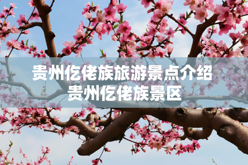 贵州仡佬族旅游景点介绍 贵州仡佬族景区