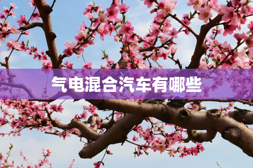 气电混合汽车有哪些