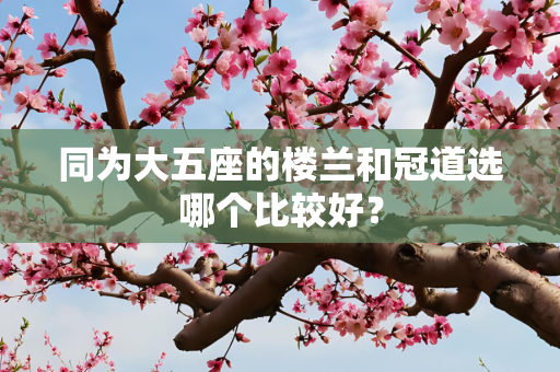 同为大五座的楼兰和冠道选哪个比较好？