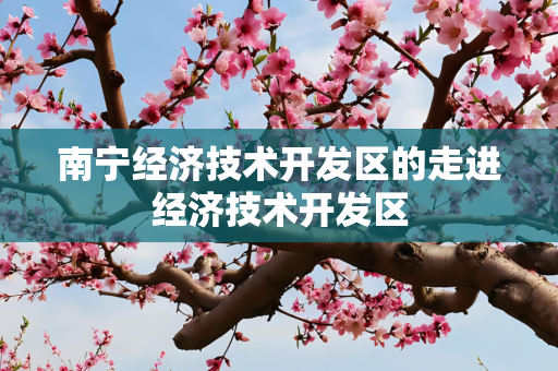 南宁经济技术开发区的走进经济技术开发区