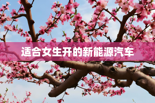 适合女生开的新能源汽车