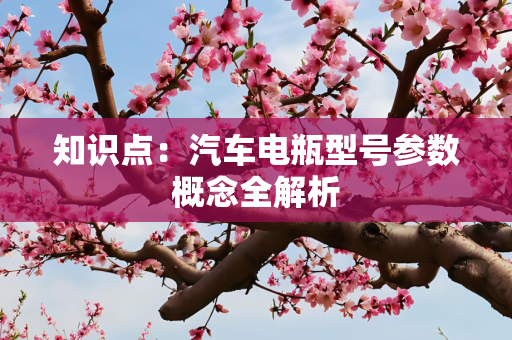 知识点：汽车电瓶型号参数概念全解析