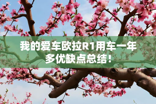 我的爱车欧拉R1用车一年多优缺点总结！
