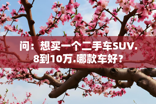 问：想买一个二手车SUV.8到10万.哪款车好？