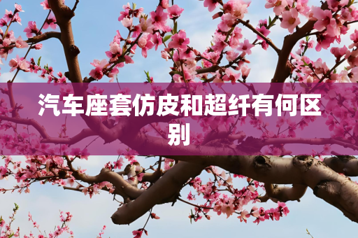 汽车座套仿皮和超纤有何区别