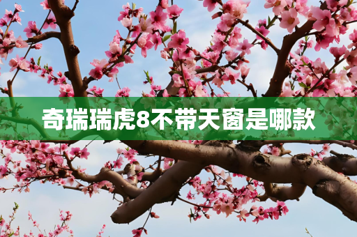 奇瑞瑞虎8不带天窗是哪款