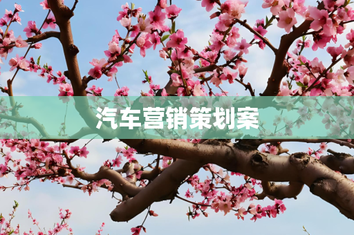 汽车营销策划案