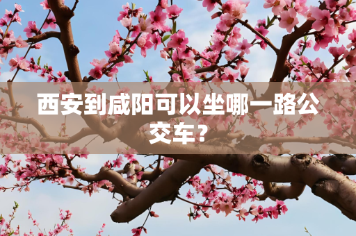 西安到咸阳可以坐哪一路公交车？