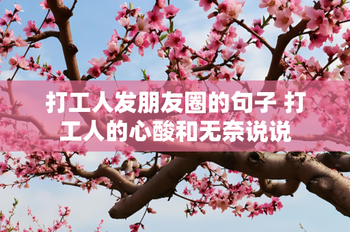 国际 第48页