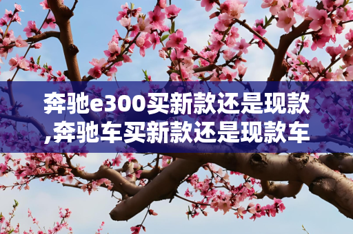 奔驰e300买新款还是现款,奔驰车买新款还是现款车型