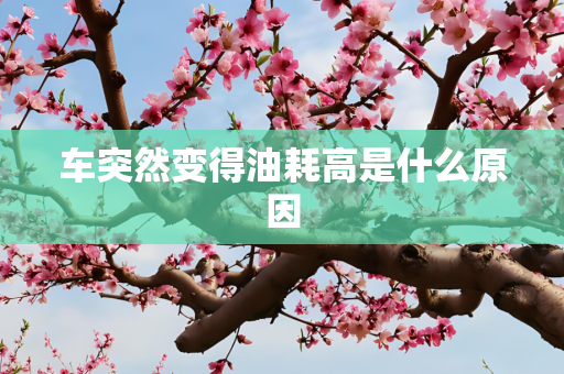 国际 第47页