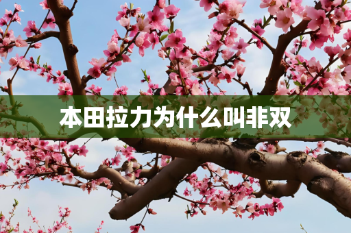 本田拉力为什么叫非双