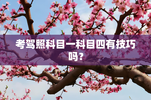 考驾照科目一科目四有技巧吗？