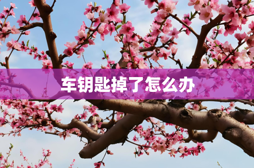 车钥匙掉了怎么办