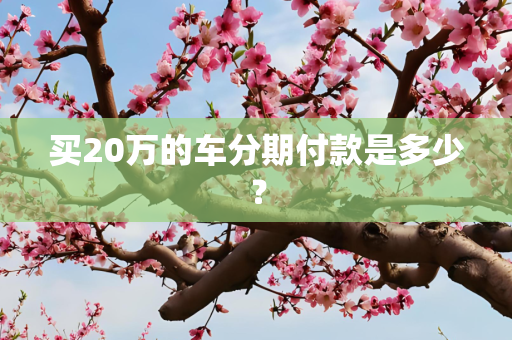 买20万的车分期付款是多少？