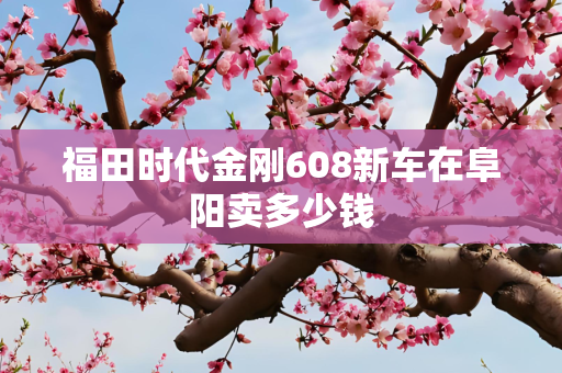 福田时代金刚608新车在阜阳卖多少钱