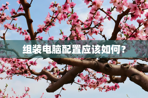 组装电脑配置应该如何？