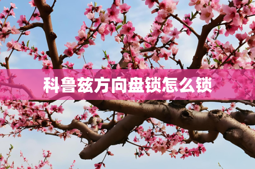 科鲁兹方向盘锁怎么锁