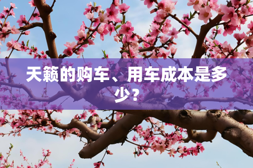 天籁的购车、用车成本是多少？