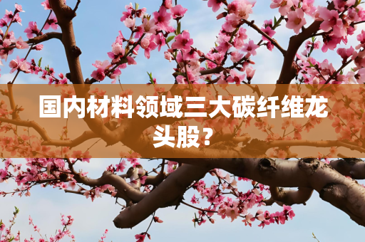 国内材料领域三大碳纤维龙头股？
