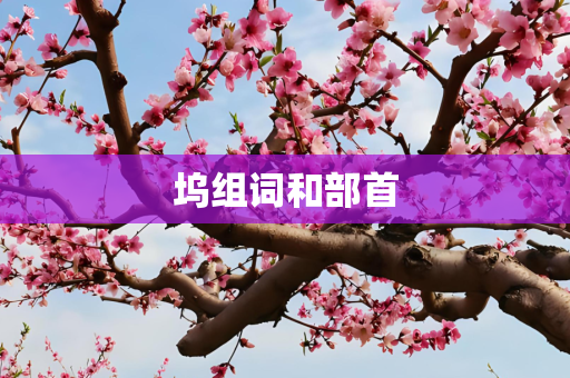 坞组词和部首