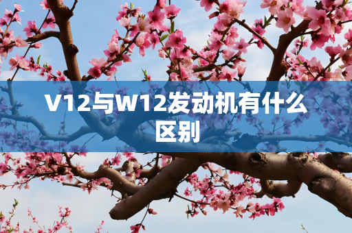 V12与W12发动机有什么区别