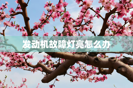 发动机故障灯亮怎么办