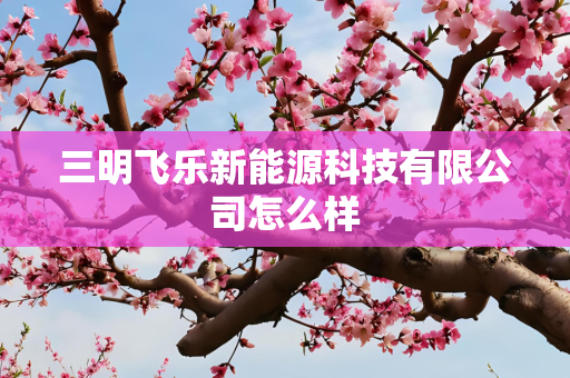 三明飞乐新能源科技有限公司怎么样