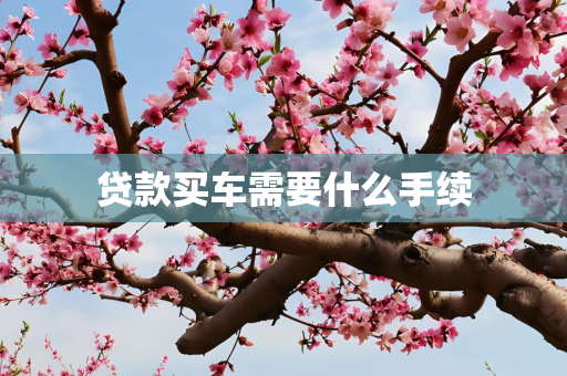 贷款买车需要什么手续