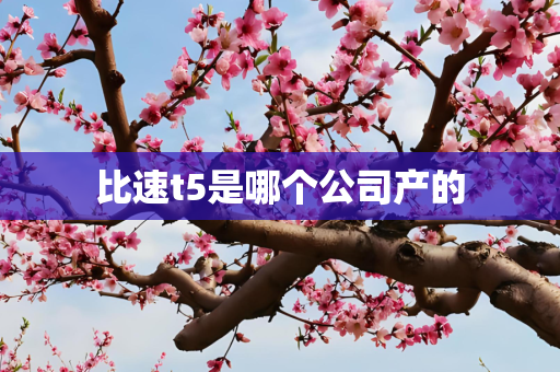 比速t5是哪个公司产的