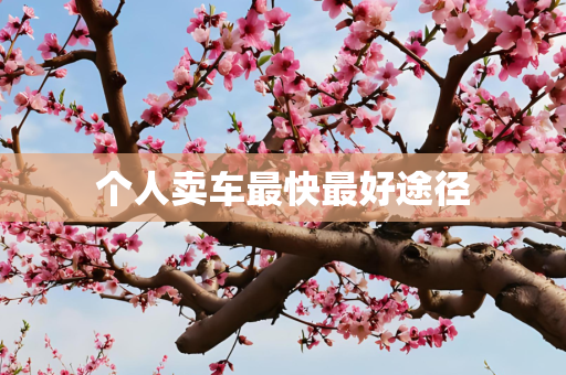 个人卖车最快最好途径