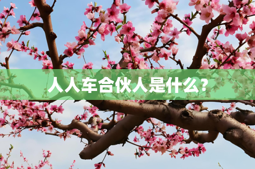 人人车合伙人是什么？