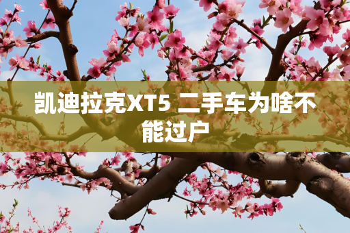 凯迪拉克XT5 二手车为啥不能过户
