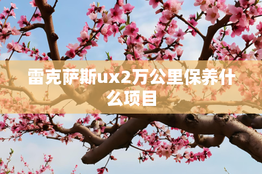 雷克萨斯ux2万公里保养什么项目