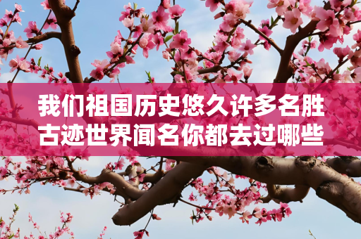 我们祖国历史悠久许多名胜古迹世界闻名你都去过哪些地方请写在下面