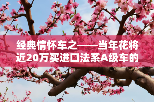 经典情怀车之——当年花将近20万买进口法系A级车的人是怎么想的