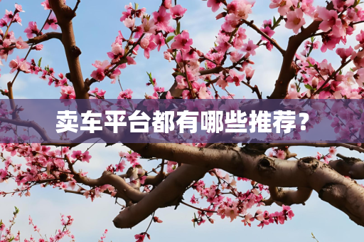卖车平台都有哪些推荐？