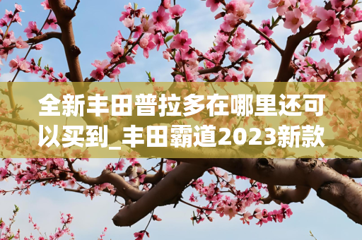 全新丰田普拉多在哪里还可以买到_丰田霸道2023新款啥时候上市