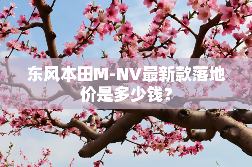 东风本田M-NV最新款落地价是多少钱？
