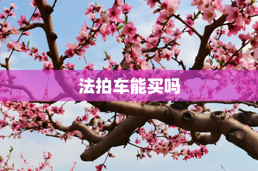 法拍车能买吗
