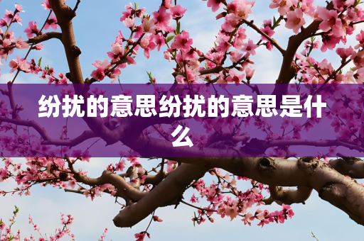 纷扰的意思纷扰的意思是什么