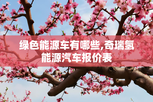 绿色能源车有哪些,奇瑞氢能源汽车报价表