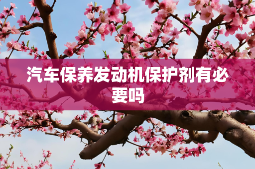 汽车保养发动机保护剂有必要吗